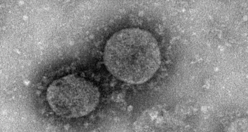 신종 코로나바이러스SCMP 캡처 [디지털타임스 DB]